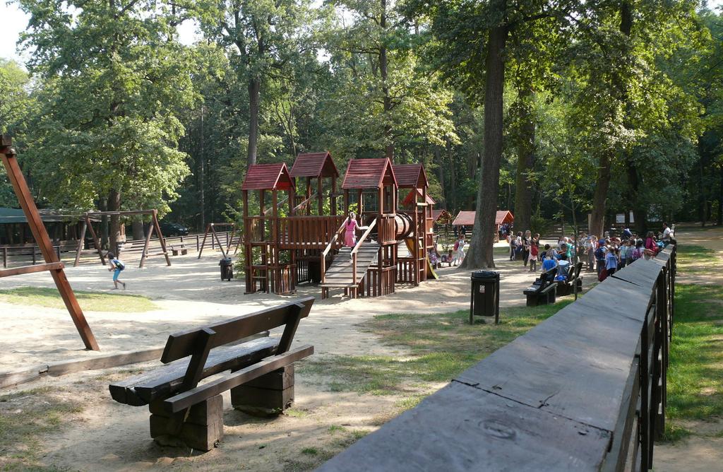 A kicsiket erdei játszótér várja A terület évtizedek óta kedvelt kirándulóhely: a sportolni, pihenni, kikapcsolódni vágyók igényeit szolgálja.