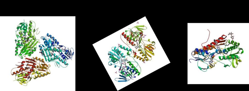 a membránhoz kötődő fehérjék szolubilizálására a kaotróp sók - NaBr, NaCl - is képesek lehetnek. Ennek példája a R.