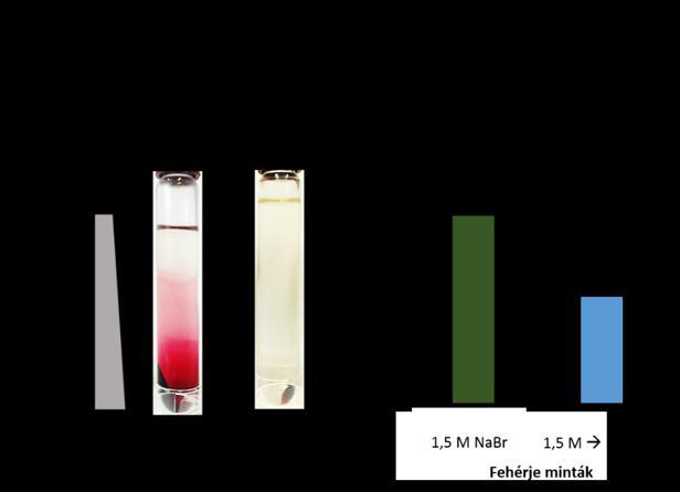Vélhetően az alkalmazott 1,5 M koncentrációjú nátrium-bromidot tartalmazó közeg miatt a fehérjékhez kötődö kisebb membrán darabok képtelenek voltak leülni az ultracentrifugálás során.