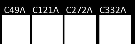 ábra: Cisztein mutáns SqrF fehérjéket termelő T. roseopersicina kultúra minták SDS-PAGE utáni Western hibridizációs képe 5.5.4.1.