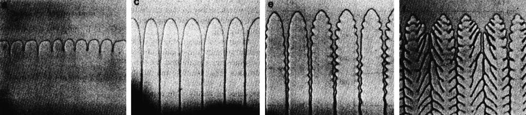 301 1. ábra. SCN-Salol keverék irányított megszilárdulása során a húzási sebesség növelésével megfi- Fig. 8.8 Microstructures observed in an SCN-0.