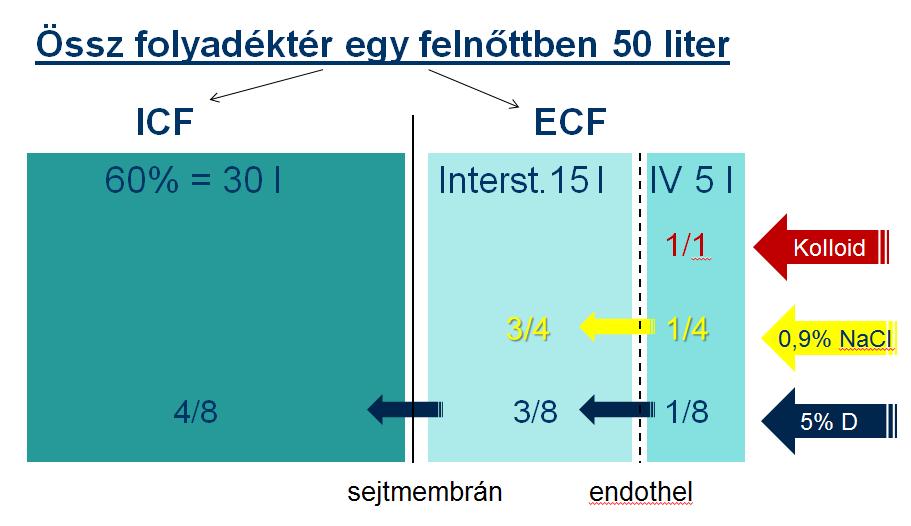I.v. infúziók összehasonlítása