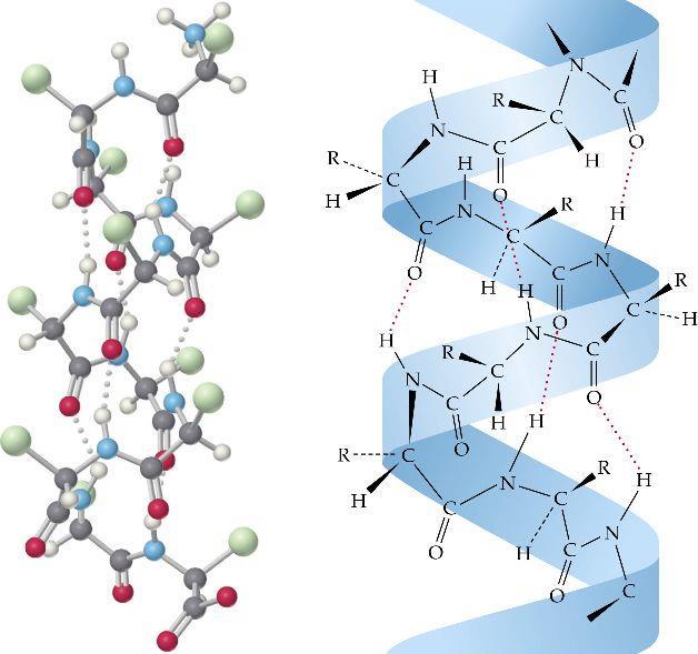 A kémiai kötés Ellenőrző kérdések A vízben két oxigénatom közti távolság.9 Å, az egyensúlyi helyzetek kb. 1 Å-re vannak a két atomtól.