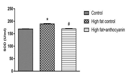 diet induced obesity mouse model Andrea Nemes a, Judit R.