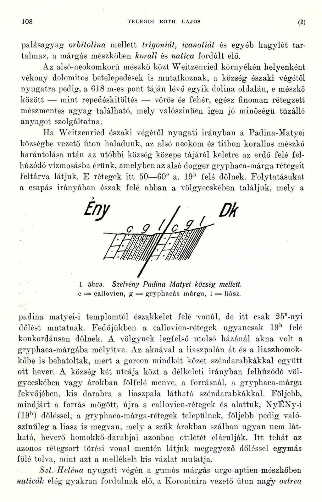 108 TELEGDI BOTII LAJOS (2) palásagyag orbitolina mellett trigoniát, icanotiát és egyéb kagylót tartalmaz, a márgás mészkőben korall és natica fordúlt elő.