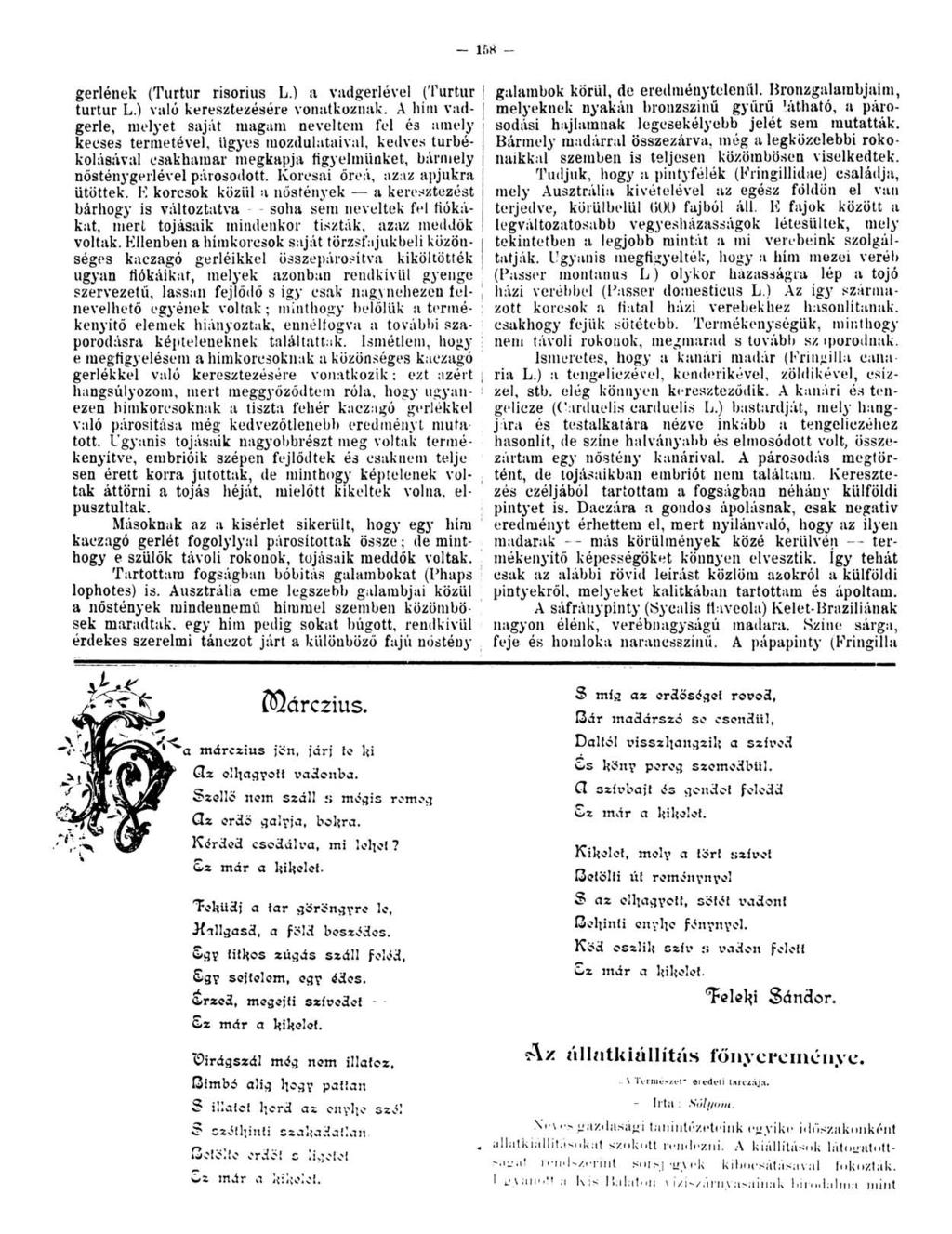 - ir>8 - gerlének (Turtur risorius L.) a vadgerlével (Turtur turtur L.) való keresztezésére vonatkoznak.