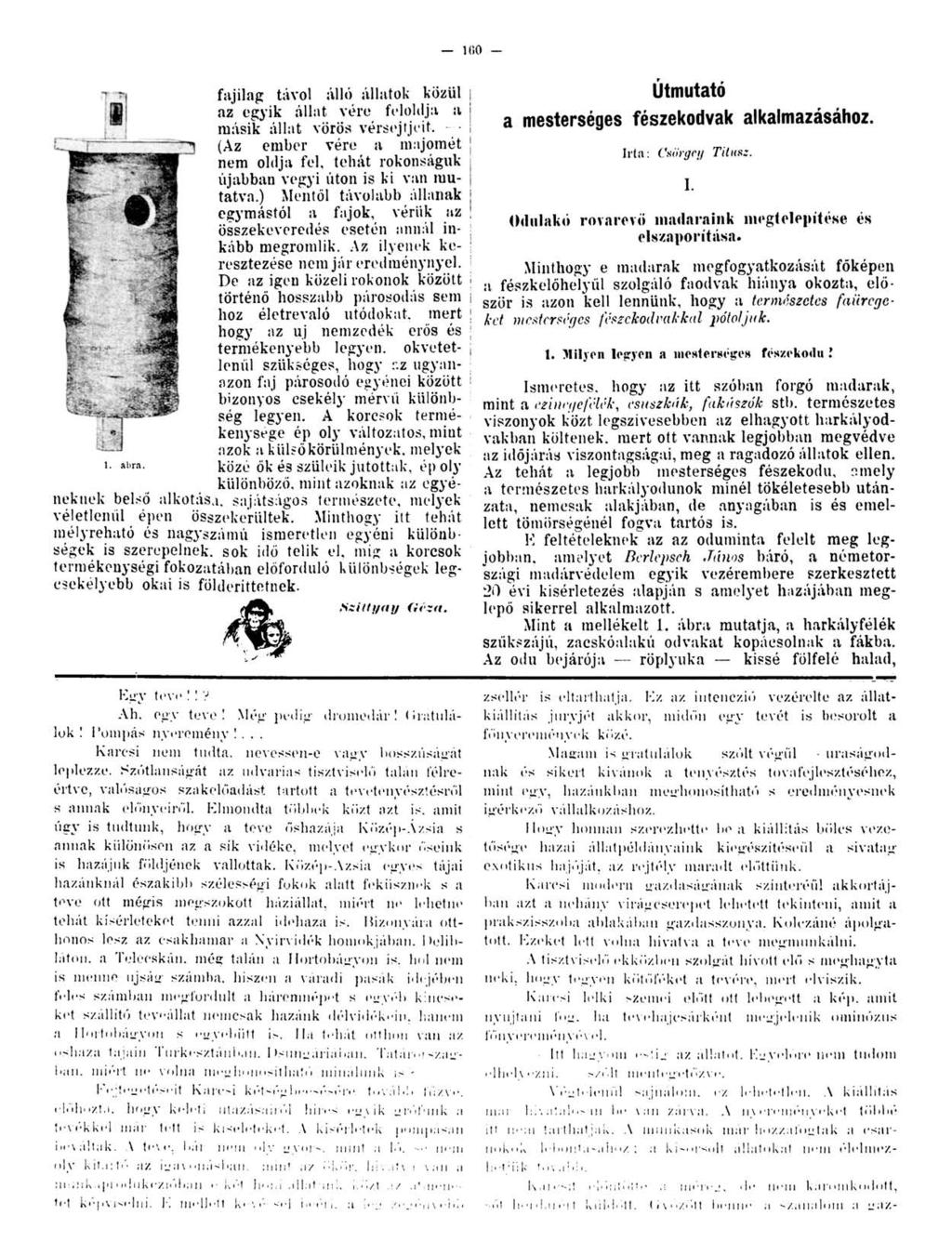 - 100 - L fajilag távol álló állatok közül az egyik állat vére feloldja a másik állat vörös vérsejtjeit.