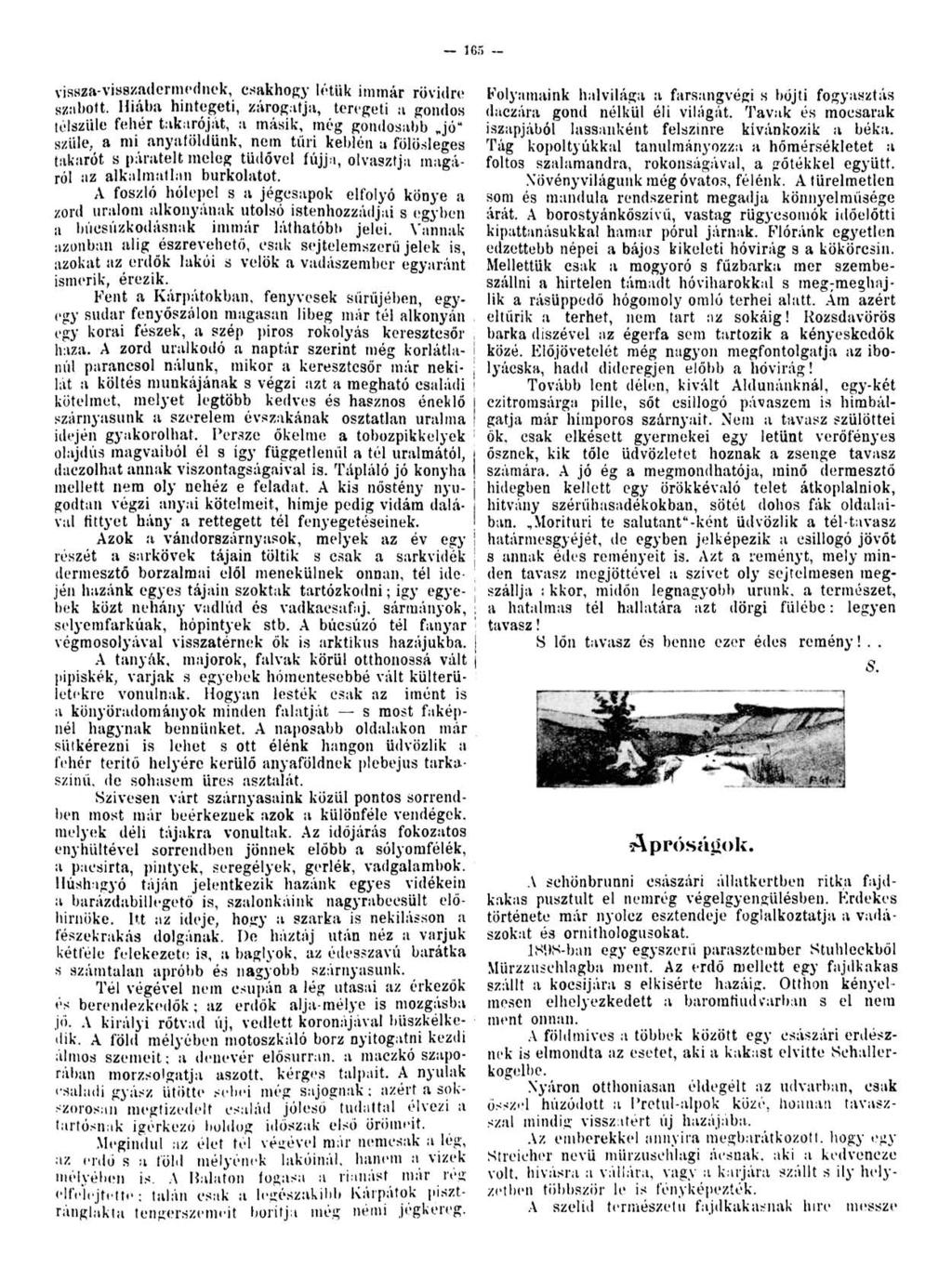 - 165 - vissza-visszadermednek, csakhogy létük immár rövidre Folyamaink halvilága a farsangvégi s böjti fogyasztás szabott.