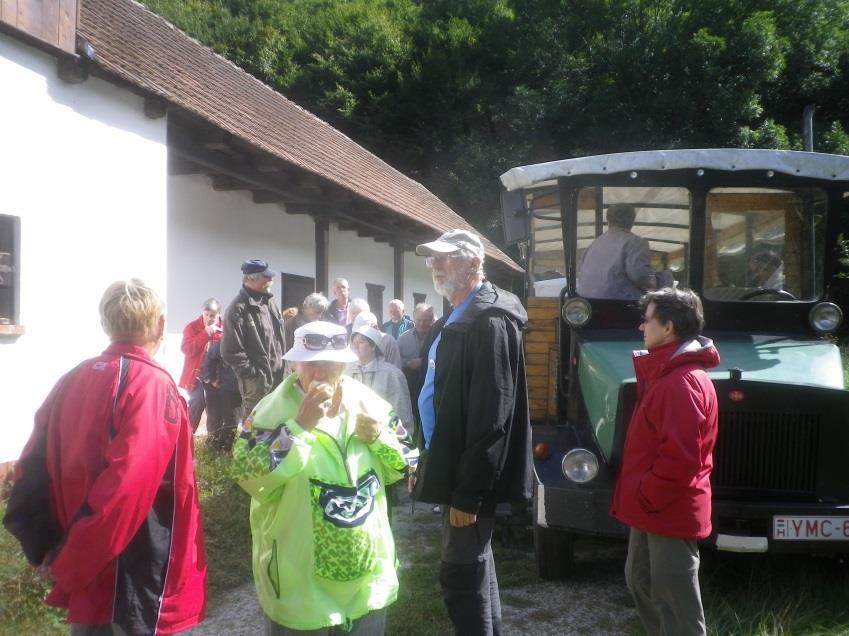 Néhány cseppkőzászló, függőcseppkő, mikrotetaráta, típusos (gömbös) borsókő és