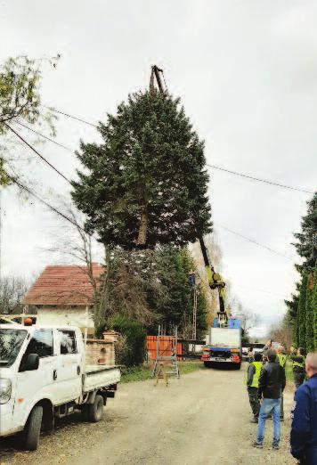 Cseresznyés út Napos sétány által határolt terület) III. ütem: időpont: december 7.