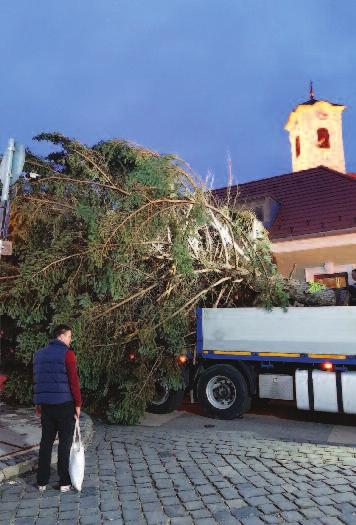 A zsákokba helyezhetők: lomb, fa és bokor nyesedék, nyírt fű, gyom.