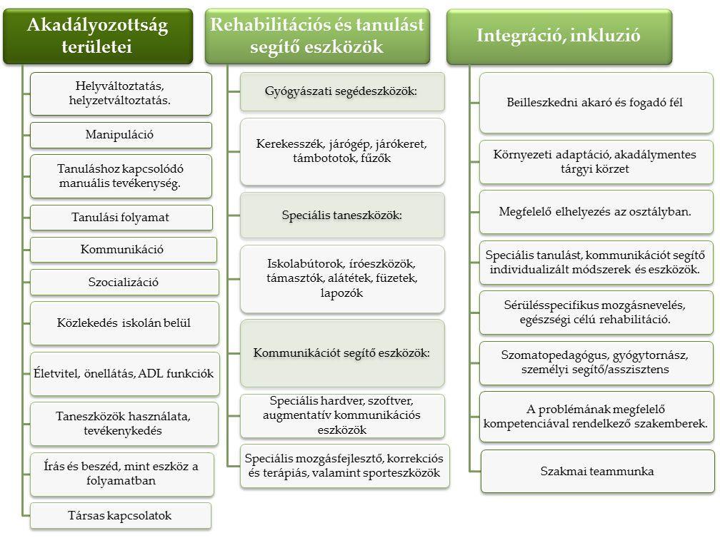 Miskolci SZC Martin János Szakközépiskolája, Szakiskolája és Készségfejlesztő Iskolája B) A látássérült (vak, aliglátó,