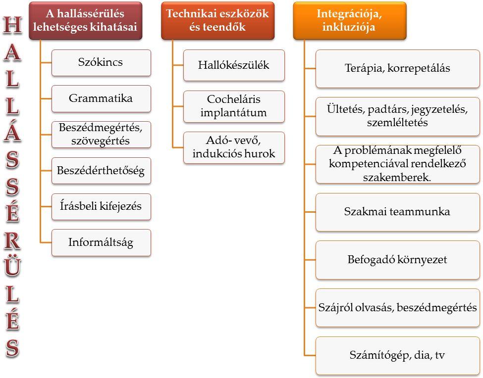 Miskolci SZC Martin János Szakközépiskolája, Szakiskolája és Készségfejlesztő Iskolája D) Az enyhe értelmi fogyatékos tanulók iskolai fejlesztése A tanulásban akadályozott diák főbb problémái