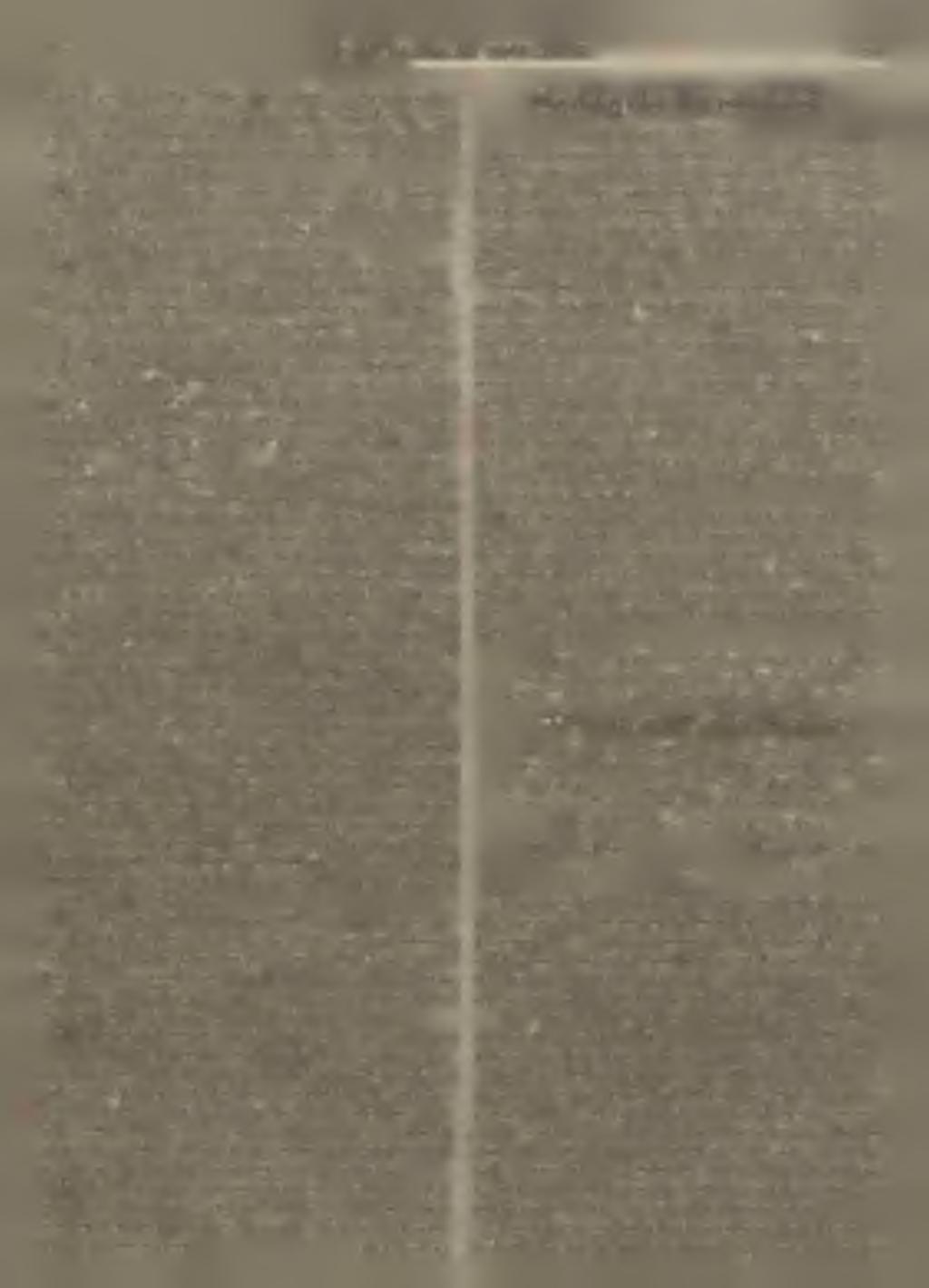 129 GRAFIKAI SZEMLE 129 különbség van 25 30 és 70 100 százalék között, a mennyit a német művek után élveznek.
