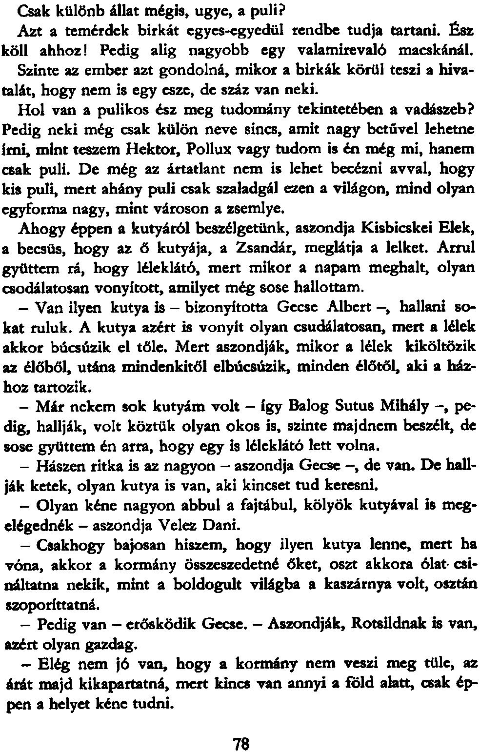 Csak különb állat mégis, ugye, a puli? Azt a temérdek birkát egyes-egyedül rendbe tudja tartani. Ész köll ahhoz! Pedig alig nagyobb egy valamirevaló macskánál.