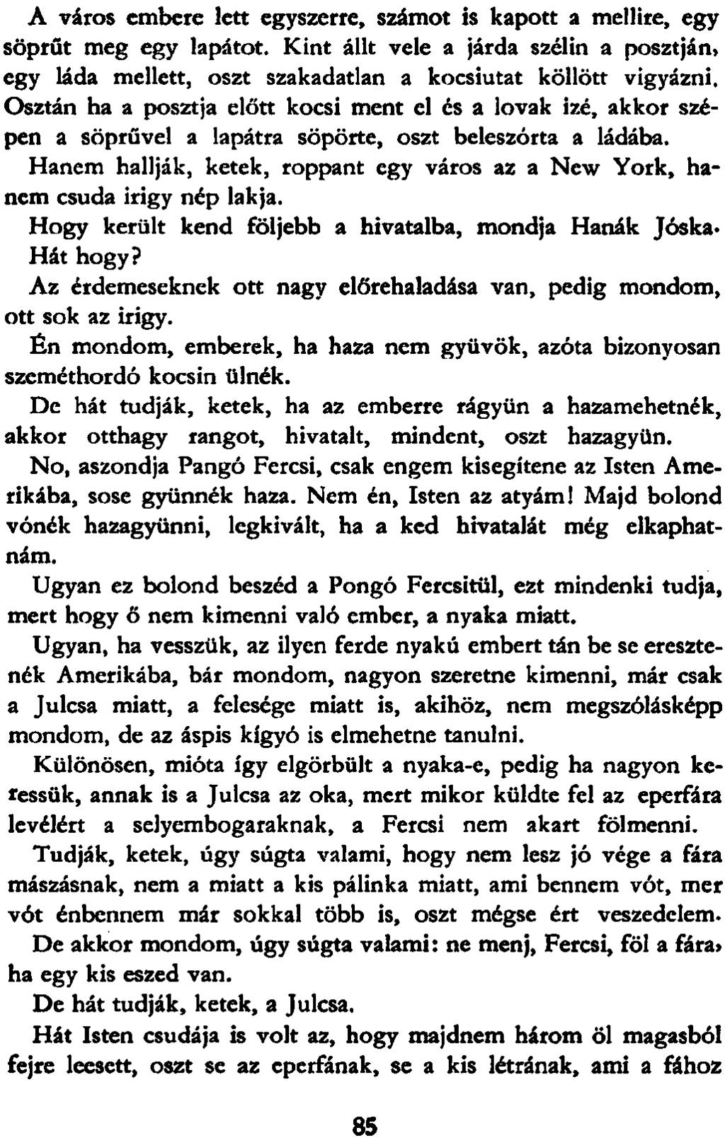 A város embere lett egyszerre, számot is kapott a mellire, egy söprűt meg egy lapátot. Kint állt vele a járda szélin a posztján, egy láda mellett, oszt szakadatlan a kocsiutat köllött vigyázni.