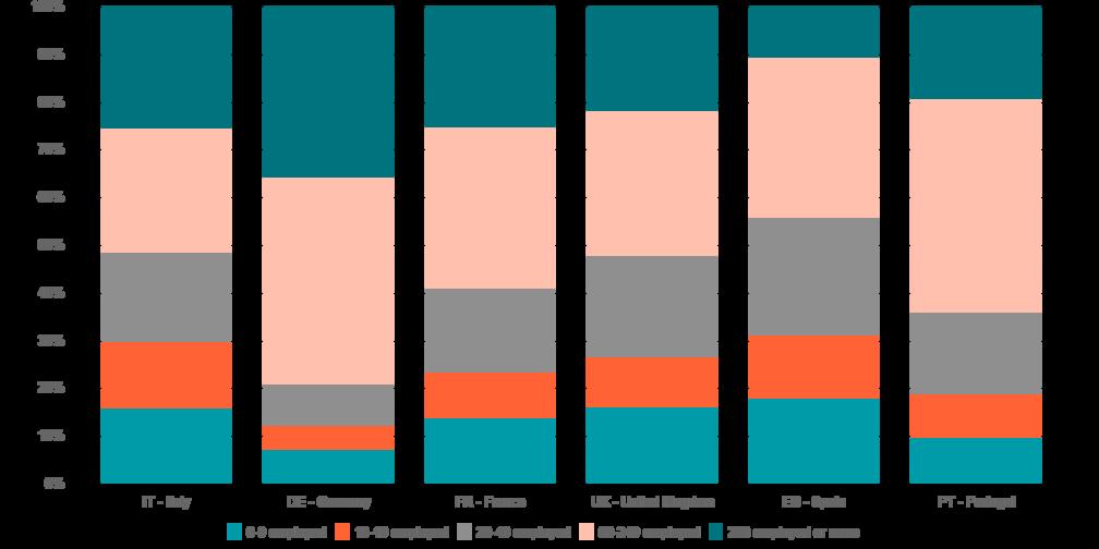 FIG. 10: DISTRIBUTION OF TURNOVER BY SIZE-BAND T&C TOP COUNTRIES (%, 2014) 10.