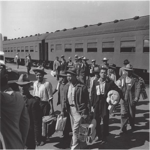 6. ábra: Az első bracerók megérkeznek Stocktonba, 1942. szeptember 29. (Dorothea Lange fényképe. Dorothea Lange-gyűjtemény, Oakland Museum of History, Oakland.