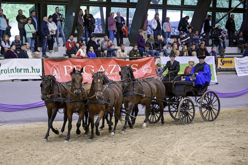 A programok szervezését gondos előkészítés előzi meg, hogy megfelelően kiszolgálják és odavonzzák a szakmai érdeklődőket és a szórakozni vágyó közönséget is.