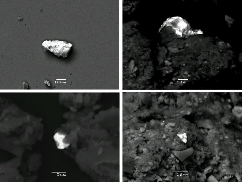 4 fullpaper (a) (b) (c) (d) FIGURE 1. Microphotographs of SEM back scattered emission showing heavy metal bearing grains (light areas) within the organic matrix of sludge.