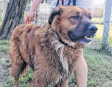 Hátha valaki felismeri.,  olvashatók a fotók alatt.