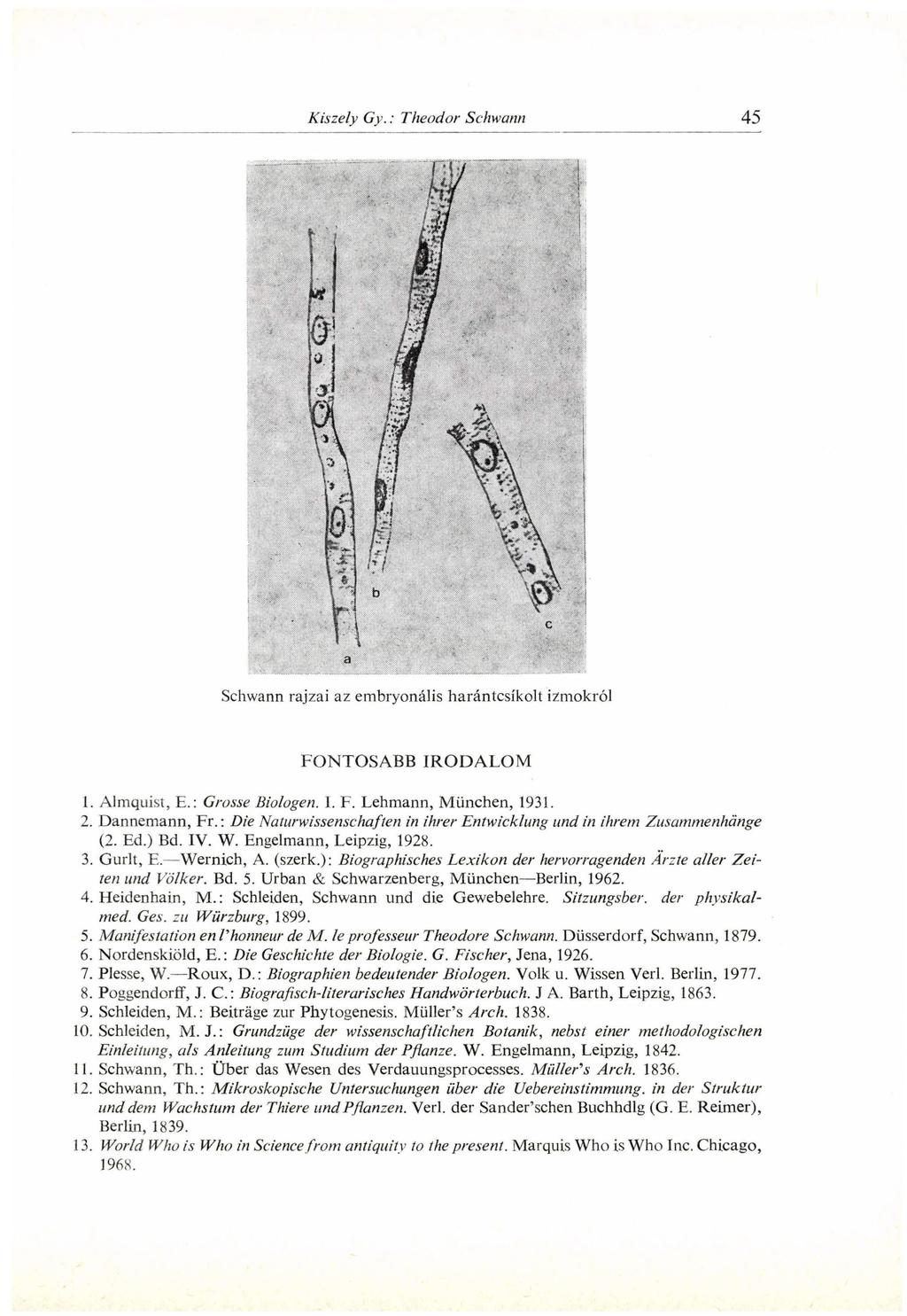 Schwann rajzai az embryonális harántcsíkolt izmokról FONTOSABB IRODALOM 1. Almquist, E.: Grosse Biologen. I. F. Lehmann, München, 1931. 2. Dannemann, Fr.