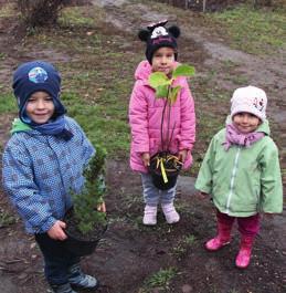 A lakosok ingyenesen igényelhettek zöld növényeket (fákat, bokrokat), gyümölcsfákat és rózsákat.