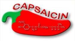 Capsaicin Prof. Dr. Jancsó Miklós és Prof. Dr. SzolcsányiJános ismerte föl és írta le a szenzoros idegekre kifejtett hatását.