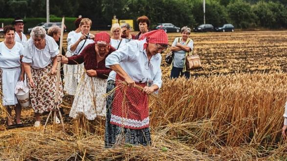 2019. 3. szám 7. A nagy sikert aratott aratóverseny Az Örökifjak nyugdíjas csapata kézi aratóversenyen vett részt. Öt csapat mérte össze tudását a július 20-i kézi aratóversenyen, melyet immáron 7.