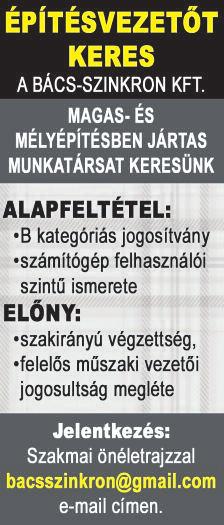 - Simítani tudó SEGÉDMUNKÁST ideiglenes munkára kőműves mellé felvennék (márciustól). Tel.: 06-20/464-6000 Schatzinger N.