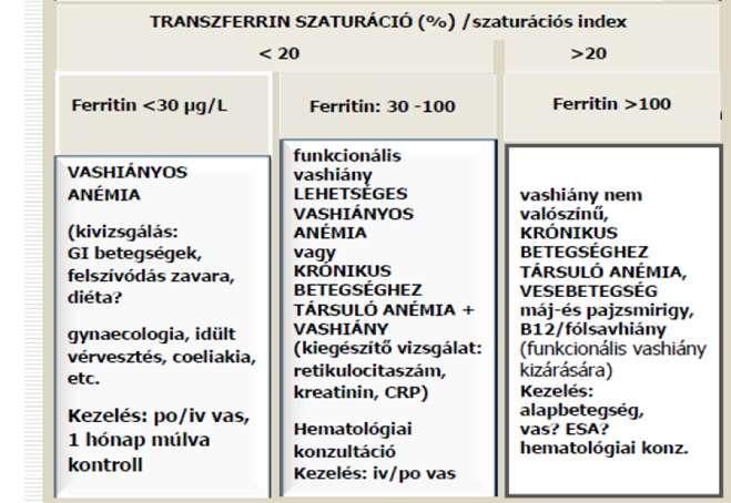 Anaemia megítélése a transzferrin