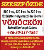 Tel: +36/20/954-9398 Az Alsóvároshoz tartozó, de Belváros közeli utcában eladó egy igényesen felújított, 135 m2-es 4 szobás családi ház. Irányár: 31,9 M Ft.