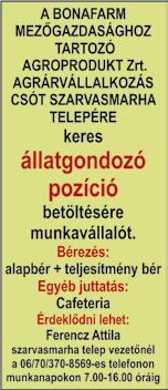 O K TAT Á S Bolti eladó, Boltvezető, Szakács, Cukrász, Pincér, Vendéglátásszervező, Vendéglátó üzletvezető, Vendéglátó Eladó, Aranykalászos