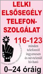 előkészítés: Prosper 2003 Kft.