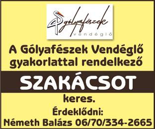 Érdeklődni a 06/30/520-4405-ös telefonszámon lehet, munkaidőben. Perint Kft. Pápán 10 éve működő ingatlanirodába várjuk új munkatársak jelentkezését. Tel.