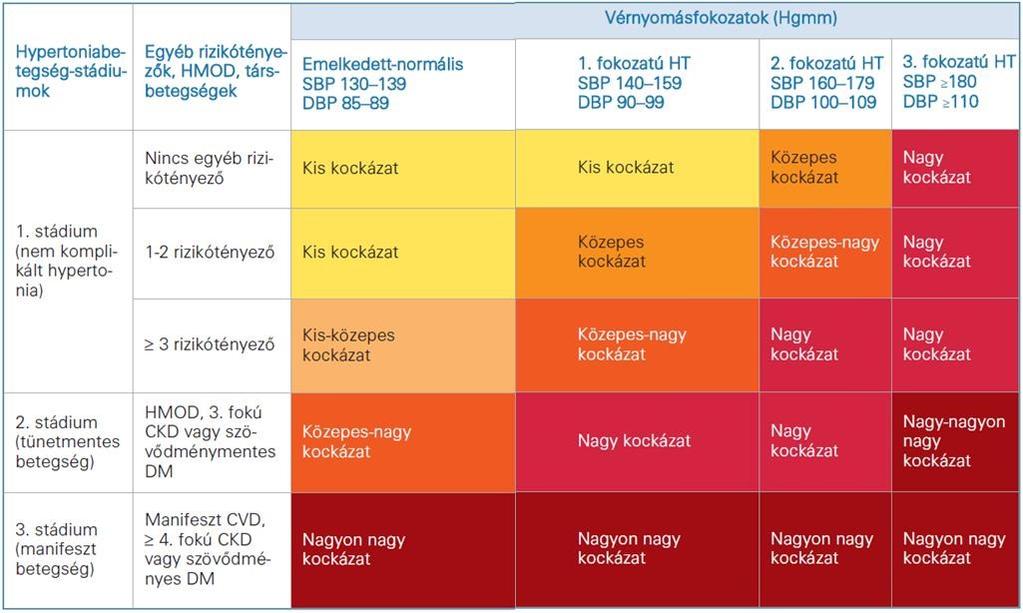A vérnyomás-kategóriák, a rizikófaktorok száma, a HMOD jelenléte és a társbetegségek jelenléte alapján megkülönböztethetünk nem komplikált hypertoniát, tünetmentes hypertoniát és tünetekkel járó,