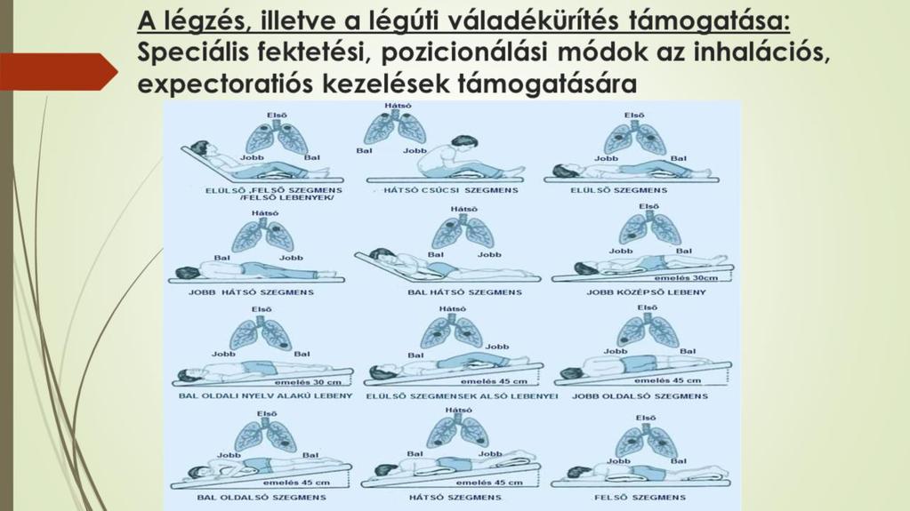 A különböző testhelyzetek alkalmazásával mind az inhalációs, mind az expectoratiós kezelések hatékonyságát támogathatjuk.