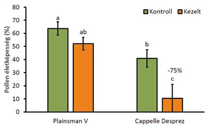 1. ábra A stressztoleráns Plainsman V és a stresszérzékeny Cappelle Desprez búzafajták pollenjének életképessége. Az oszlopok feletti betűk különbözősége az átlagok eltérését jelzi.