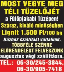 ŐSZIBARACK (ÉTKEZÉSI és BEFŐTTNEK), sárga és fehér húsú, kopasz fajták a területen és a háznál kapható főleg délután és esténként időpont egyeztetéssel augusztus 15. után. Uitt.: CEFRE is eladó. Tel.