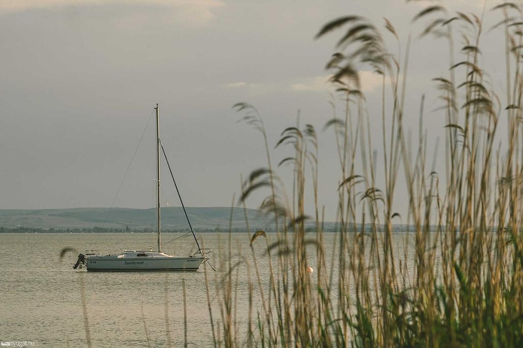 Szabolcsból még a Balaton is elérhetetlen 23 éve nyaraltam utoljára egy diabetes táborban Parádfürdőn Családdal együtt soha. Dolgoztam, most munkanélküli vagyok.