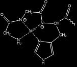 lesz. 30,35,107 a) Az aminosavakkal képződő [ML] + komplex szerkezete b) A dipeptidekkel képződő [ML] + komplex szerkezete c) A dipeptidekkel képződő [MLH 1 ] komplex szerkezete d) Az