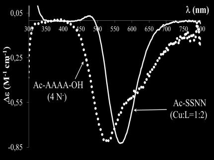 ábra: Az Ac-SSNN/Ac AAAA OH Cu(II) rendszerek CD-spektrumának összevetése (ph>11). A pozitív Cottoneffektus 480 nm körül.