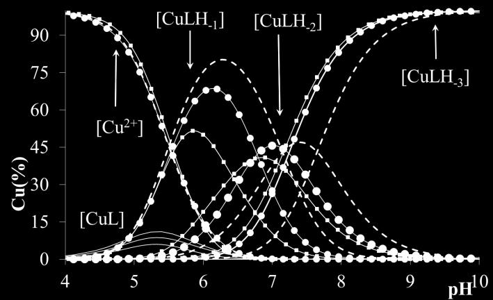 Továbbá megállapítható, hogy a stabilitási állandók és az amidnitrogének lépcsőzetes deprotonálódási állandói legjobban az NH 2 VRSS ligandum értékeivel vethetőek össze (14. táblázat).