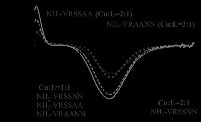 Dávid Ágnes doktori (PhD) értekezés Mindkét mutáns (NH 2 -VRSSAA és NH 2 -VRAANN) esetében a Cu(II)-iont feleslegben tartalmazó mintáinak titrálása során nagy mennyiségű Cu(OH) 2 csapadék vált le