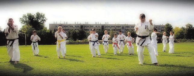 DI A hal-kategória győztese a MÁV csapata lett Hamisítatlan kora őszi idő fogadta azokat a nevezőket, akik szeptember 7-én a Petőfi-ligetben részesei voltak a Tanúhegyek Egyesület által,