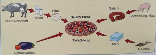 Módszertani