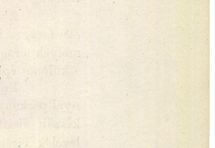 építési sztyljéről itélve mivel az az úgynevezett átmeneti korszakba esik a XIV-dik század