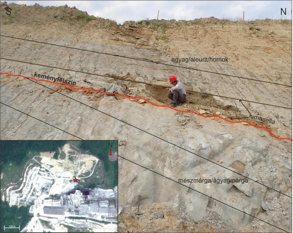 Eredmények Terepi észlelések A nasicei bányában szarmatából indulva a pannóniai legidősebb szakaszában mészmárga és mészkőpadok váltakoznak.
