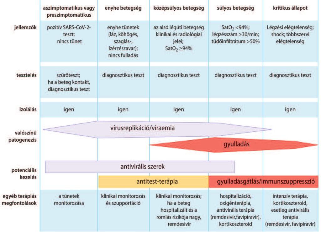 1. ábra A Covid 19 súlyossági stádiumai és teendôk ([29] nyomán) tünetekért és a vázizom-károsodásáért is [14, 17].