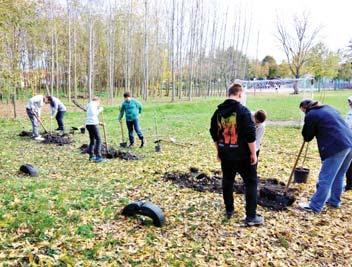 A korabeli újságok a következőképpen számolnak be a betegség terjedéséről és a vele kapcsolatban hozott óvintézkedésekről: A háborúnak rendes kisérője: a ragadós betegség a mai emberpusztításban is